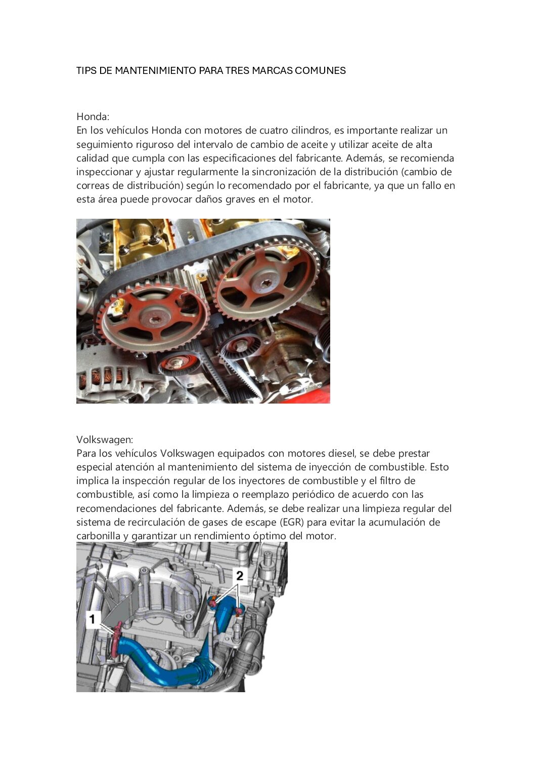 TIPS DE MANTENIMIENTO PARA TRES MARCAS COMUNES (1) (1)